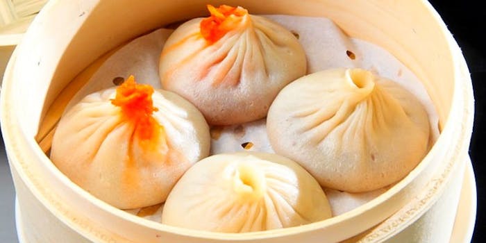 Joe S Shanghai Newyork グランフロント大阪店 ジョーズシャンハイニューヨーク 梅田 広東料理 飲茶 点心 一休 Comレストラン Joe S Shanghai Newyork グランフロント大阪店 ジョーズシャンハイニューヨーク 梅田 広東料理 飲茶 点心 一休 Comレストラン
