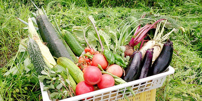 Bistro Horitetsu - 画像5