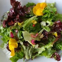 狛江駅周辺の美味しいランチ28店 おしゃれ人気店 絶品ランチグルメ 21年 一休 Comレストラン 狛江駅周辺の美味しいランチ28店 おしゃれ人気店 絶品ランチグルメ 21年 一休 Comレストラン