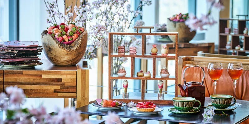 �U �^���@�� �O���������E���W�^�A���_�[�Y ����