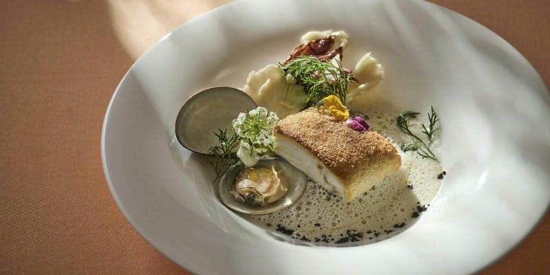 【Cena Stagione】小前菜、前菜、パスタ、肉料理、デザートなど5品