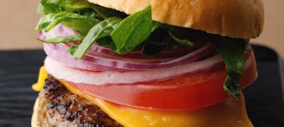 京都水族館周辺ランチ21 おすすめ 絶品お昼ごはん22選 一休 Comレストラン 京都水族館周辺ランチ21 おすすめ 絶品お昼ごはん22選 一休 Comレストラン