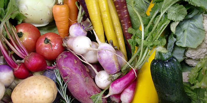 TRATTORIA　yue（トラットリアユエ）