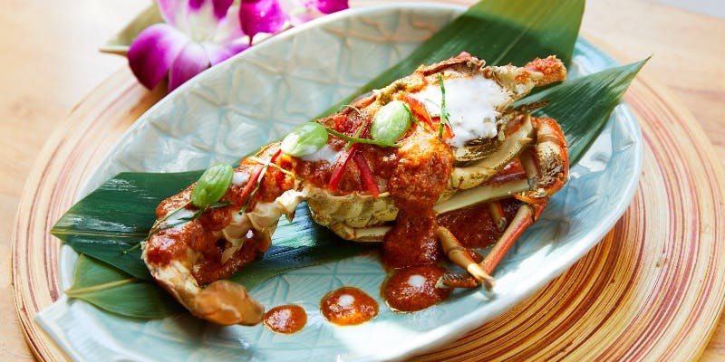 【Xmas2025】南の島コサムイのクリスマス