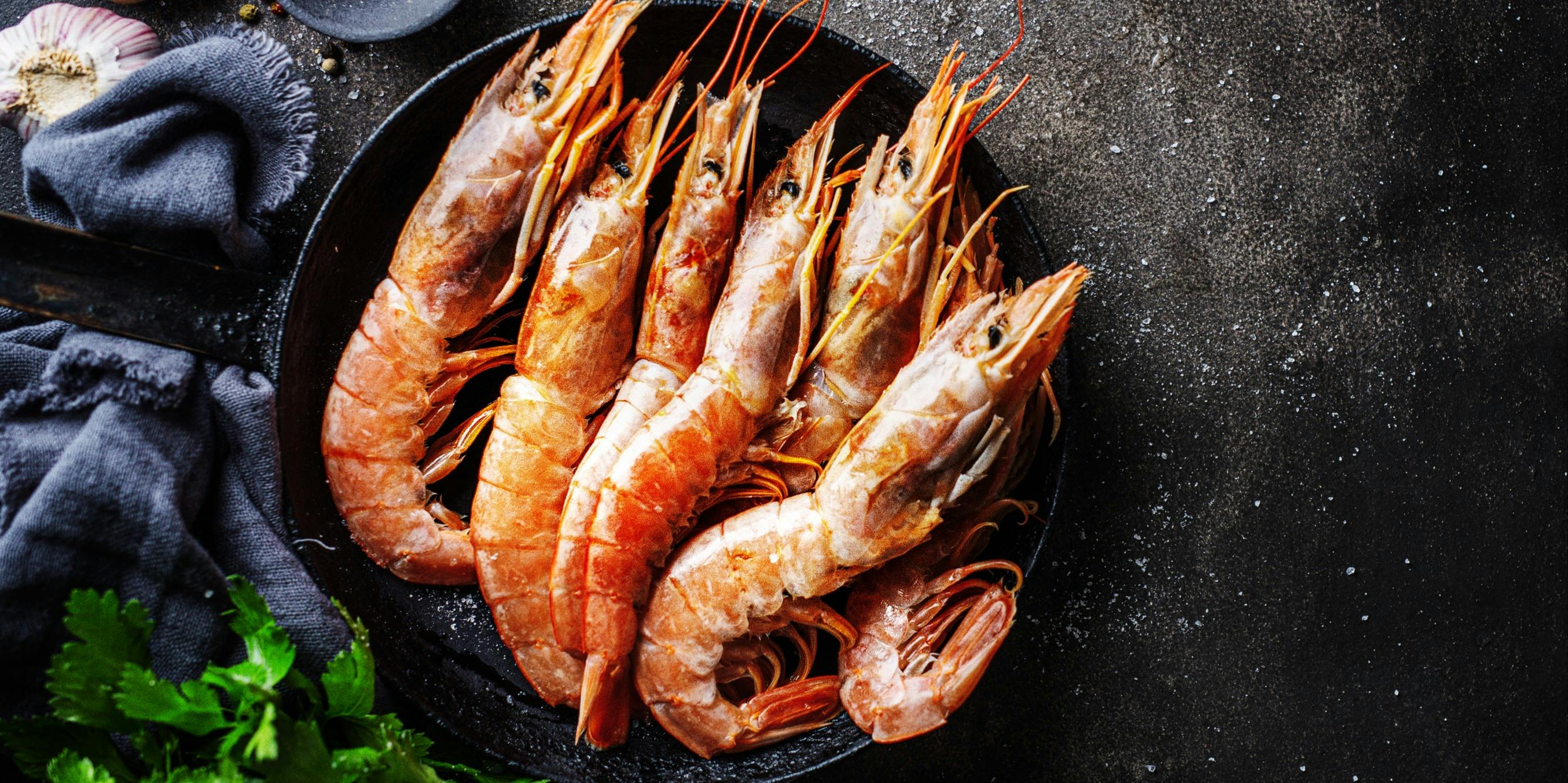 チェディルアン 淀屋橋 - 画像11