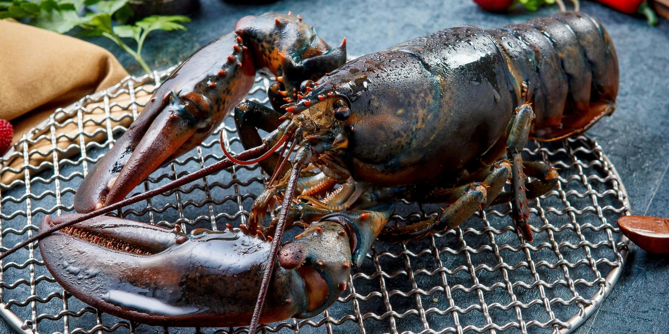 チェディルアン 淀屋橋 - 画像20