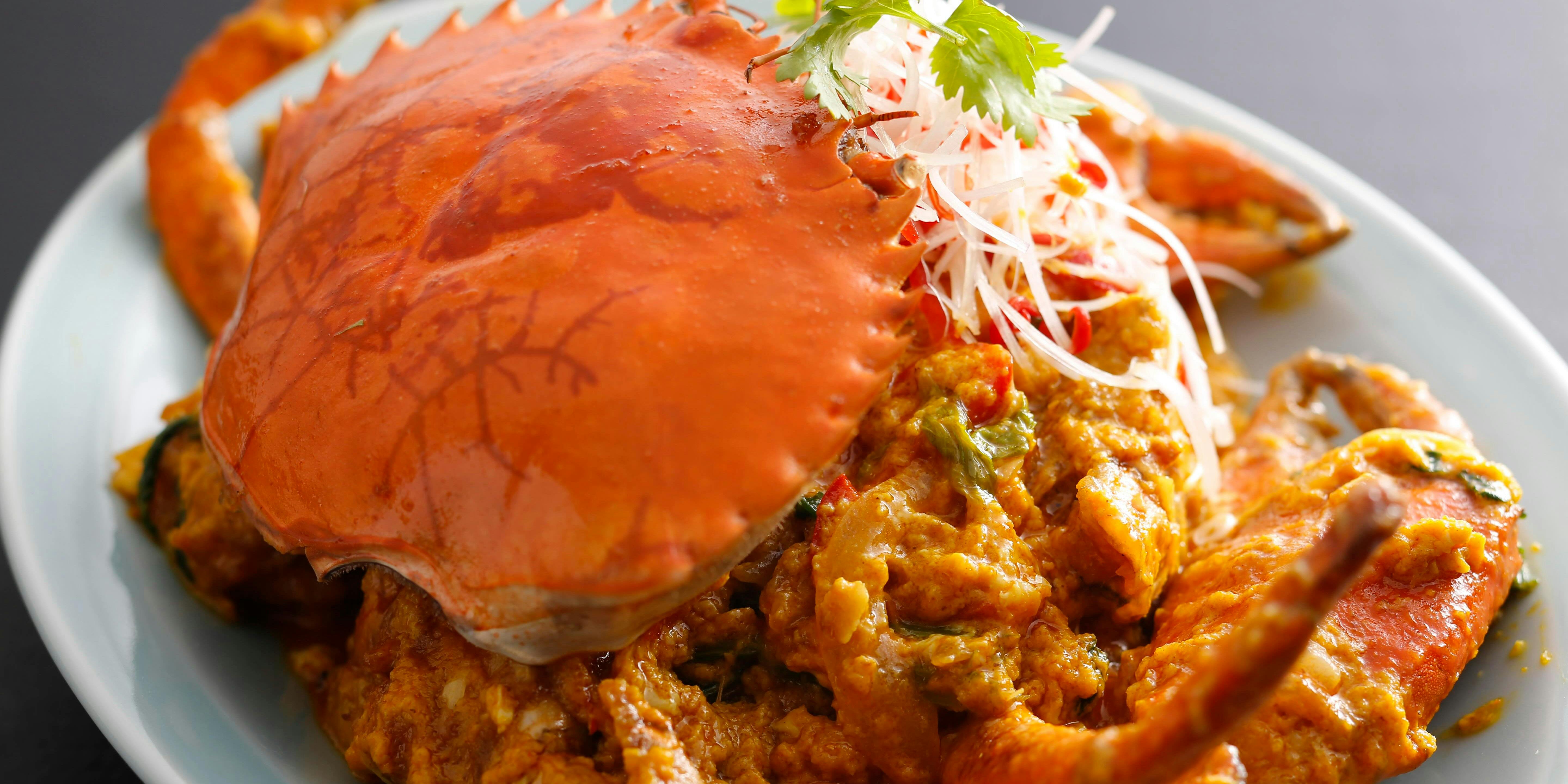 チェディルアン 淀屋橋 - 画像22