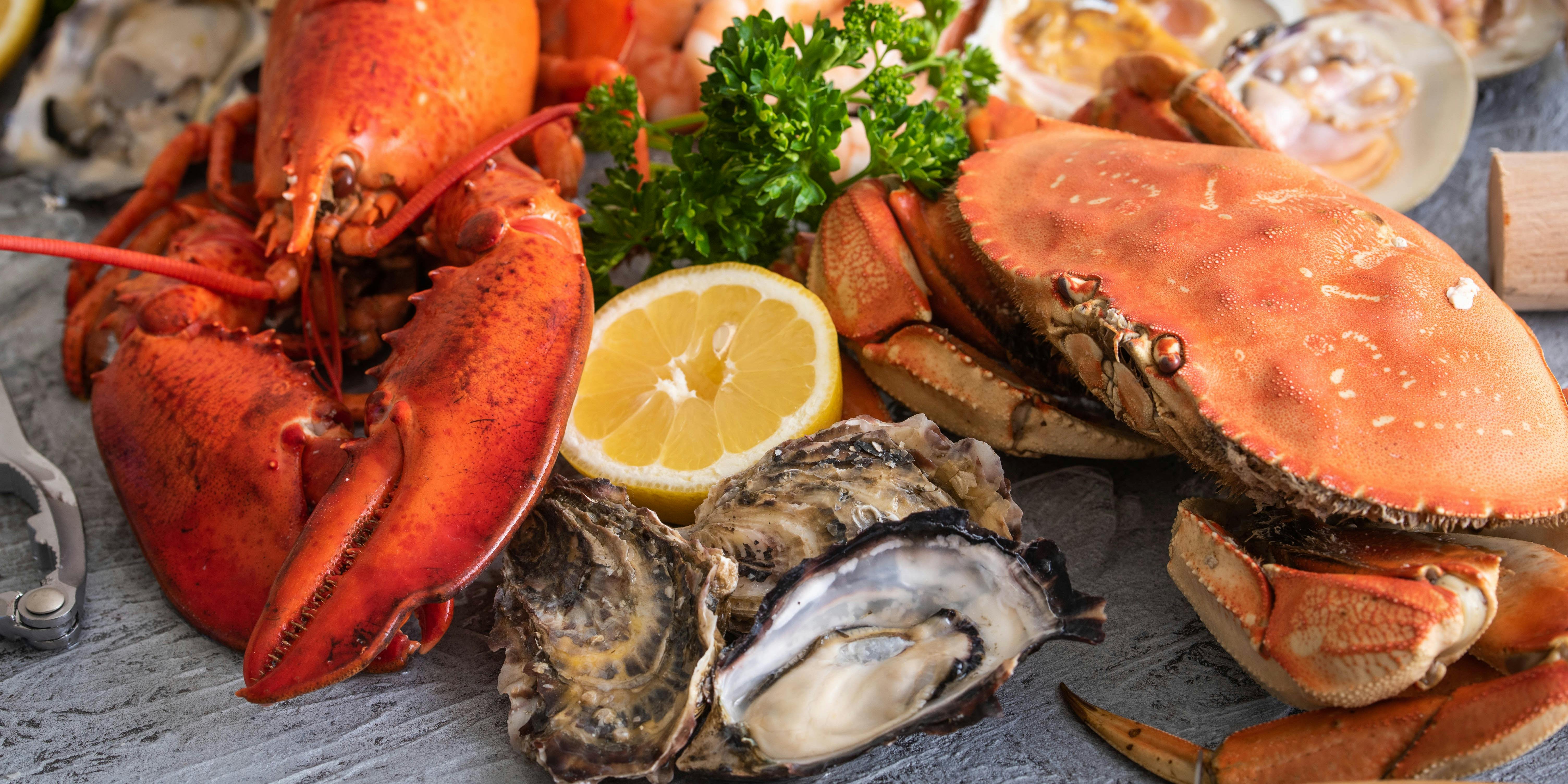 チェディルアン 淀屋橋 - 画像13