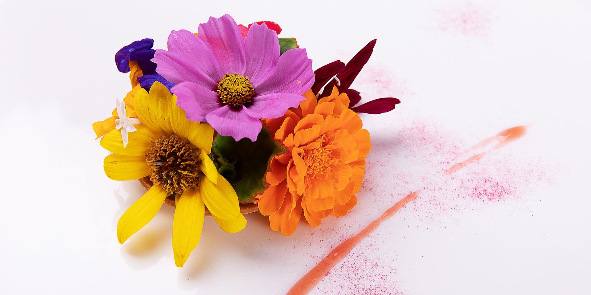 ヴァリノール - 画像4