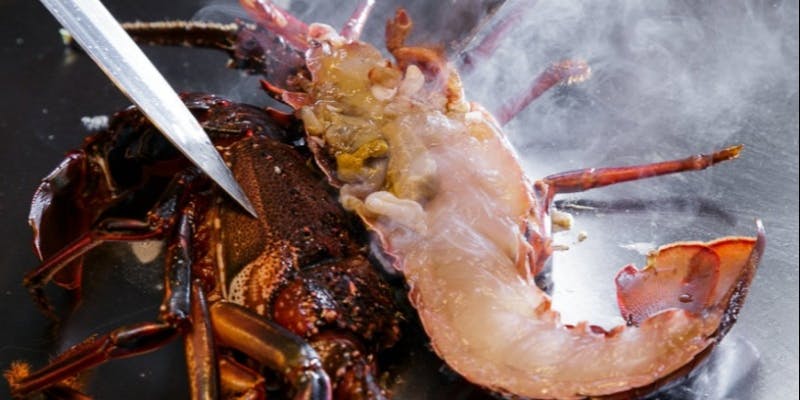 冬季限定！クリスマスコース”2025（お2人様用）