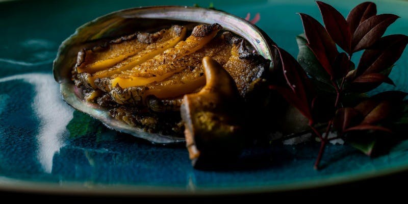 【鮑】コース 最高級A5ランク黒毛和牛と活け鮑を堪能 9品＋希望者にはメッセージプレート