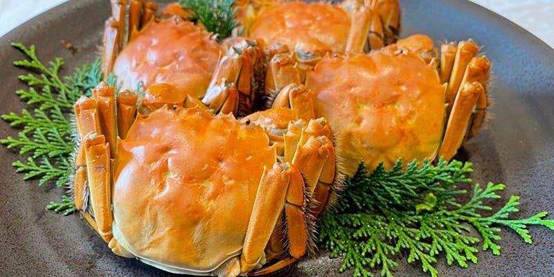 中国飯店 紫玉蘭（シギョクラン）