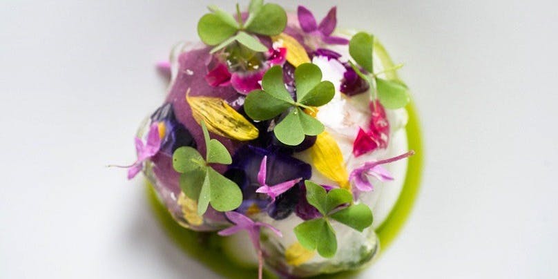 naturam kazuya sugiura - 画像13