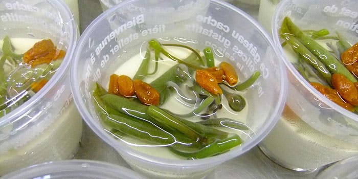 秋田のおすすめレストラントップ4 一休 Comレストラン 秋田のおすすめレストラントップ4 一休 Comレストラン