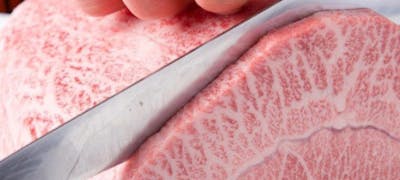 田園調布駅周辺の美味しいランチ25店 おしゃれ人気店 絶品ランチグルメ 21年 一休 Comレストラン 田園調布駅周辺の美味しいランチ25店 おしゃれ人気店 絶品ランチグルメ 21年 一休 Comレストラン