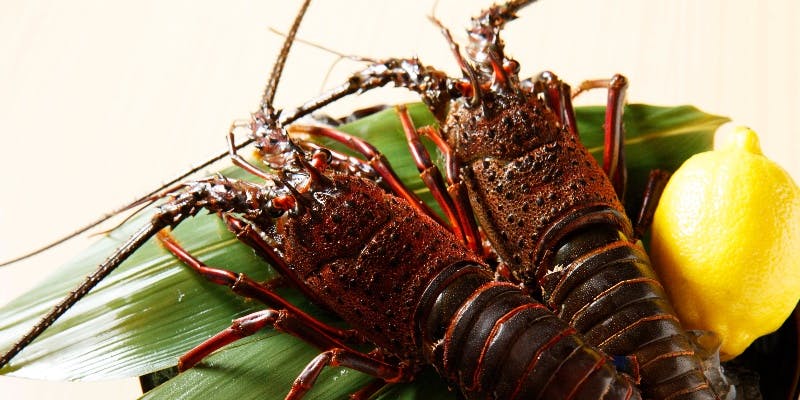 ＝＝ Xmas2025 ＝＝ クリスマス特別グランドメニュー　 Bコース