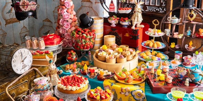東京 ケーキバイキング ケーキ食べ放題ランチ ティー特集 一休 Comレストラン 東京 ケーキバイキング ケーキ食べ放題ランチ ティー特集 一休 Comレストラン