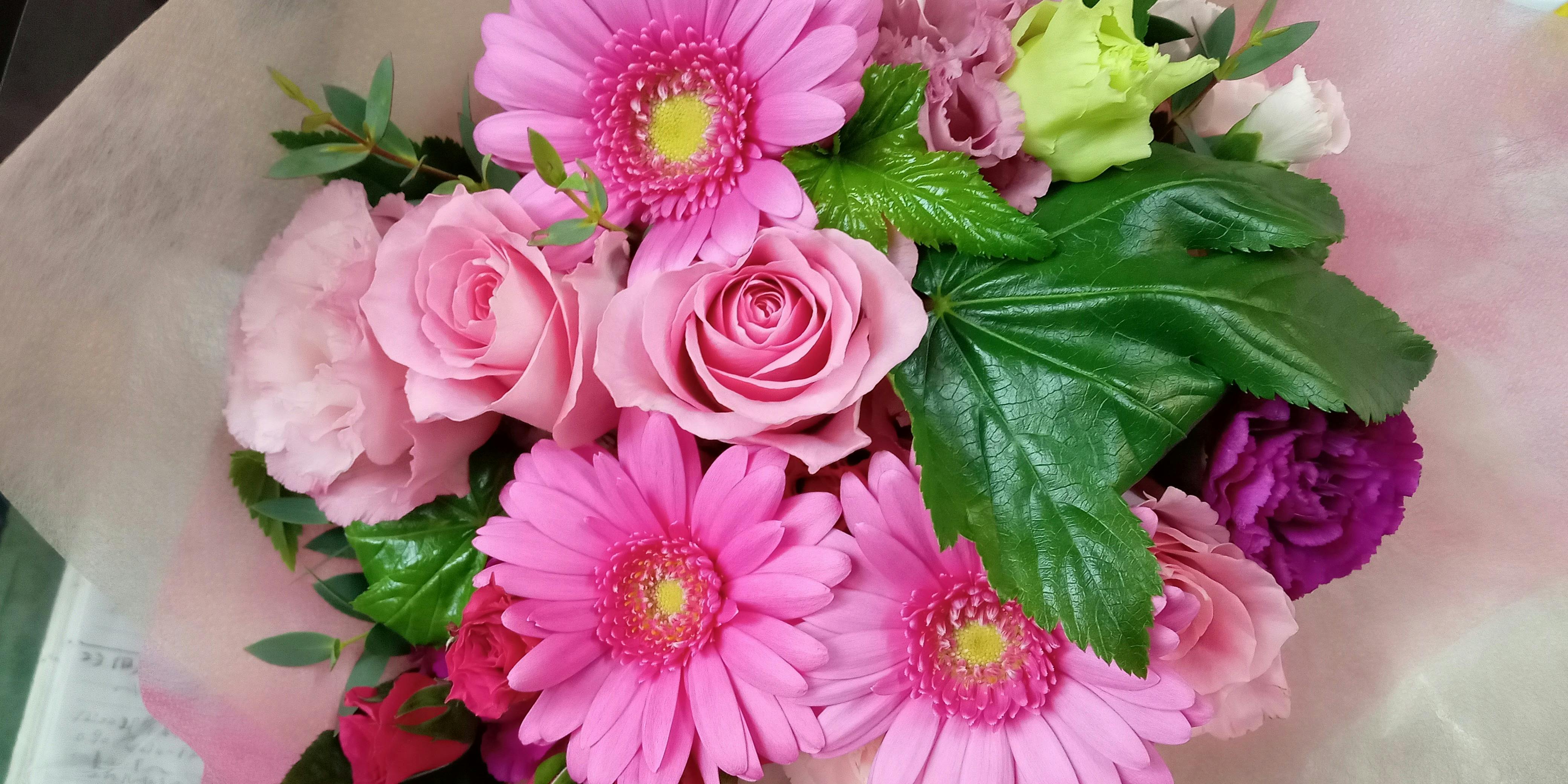 アッシュ・スプランディード　g旬風庵 - 画像12