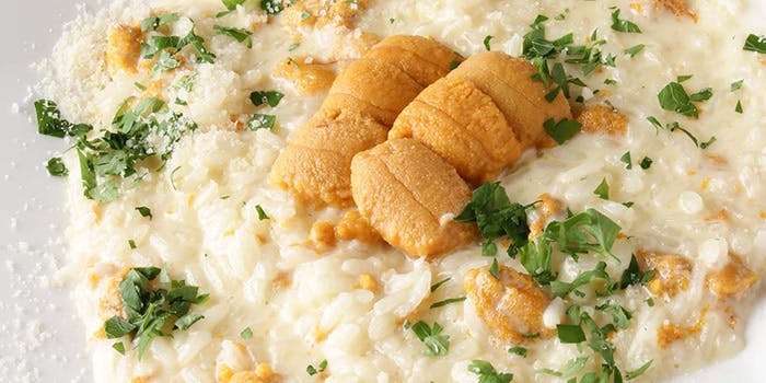 GODDESS（ゴッデス）