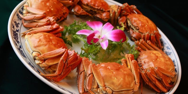 【上海蟹食べ比べコース】上海蟹の雄・雌食べ比べなど全8品＋1ドリンク（蟹の捌きサービスあり）