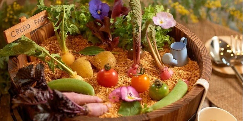 神戸イタリアン＆ワイン クレイド（Kobe　Italian & Wine　CREDO）