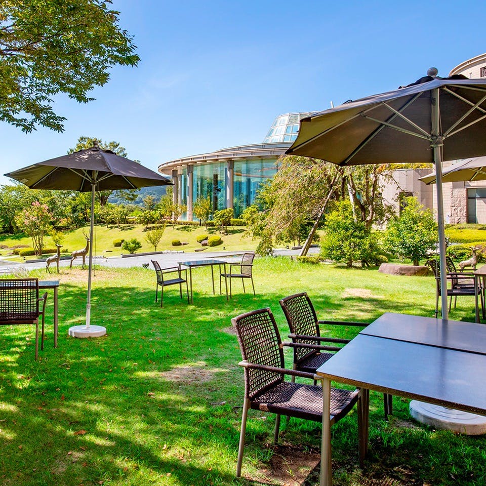 ドリンクイメージ