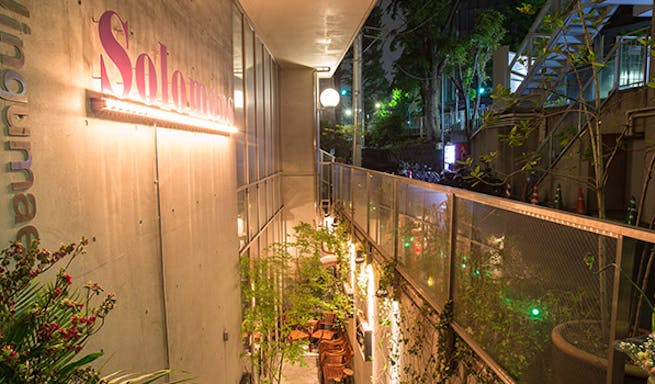 ランチ ソロモンズ Solomons 原宿 イタリアンフレンチ 一休 Comレストラン