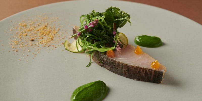 TRATTORIA CREATTA - 画像15