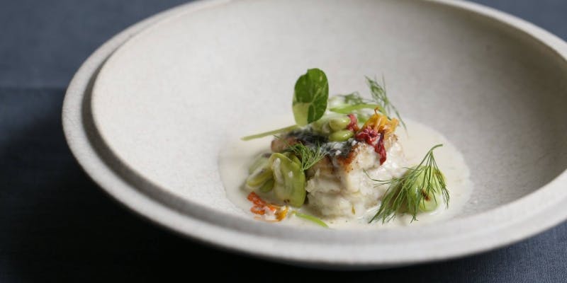 22年 最新 東急プラザ表参道原宿周辺の美味しいディナー17店 夜ご飯におすすめな人気店 一休 Comレストラン