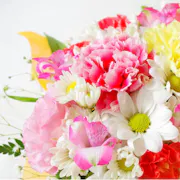 9C97BE079EB94F11BDEA664DF164