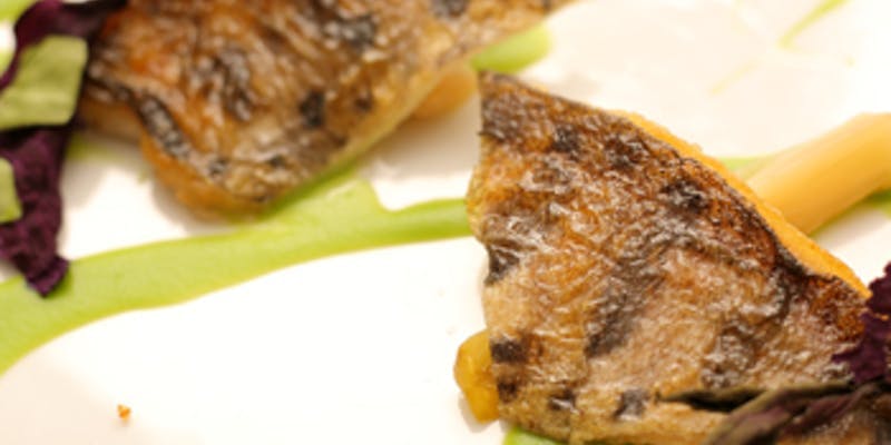 【期間限定シェフのお任せランチコース】前菜・魚料理・肉料理・デザート等全5皿＋ワンドリンク付き