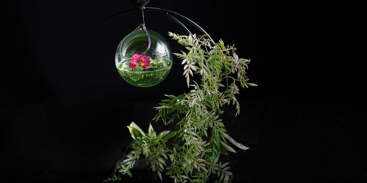 マンダリンバー