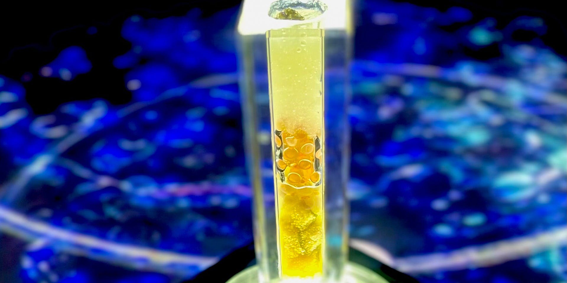 縁結び懐石 瑞亭（【旧店名】MNJF 瑞亭）