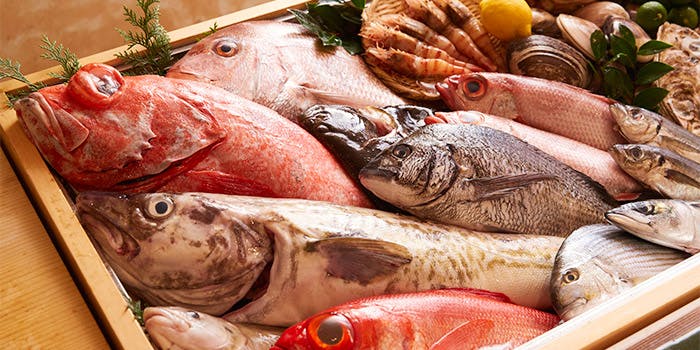 三越前の魚介 海鮮料理が楽しめるおすすめレストラントップ7 一休 Comレストラン 三越前の魚介 海鮮料理が楽しめるおすすめレストラントップ7 一休 Comレストラン
