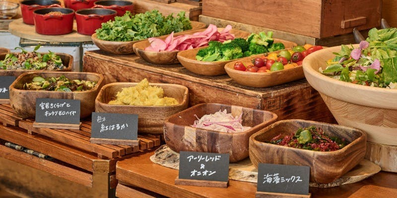 【平日ランチセット】当日選ぶメイン＋サラダ・パン・ソフトドリンクブッフェ付