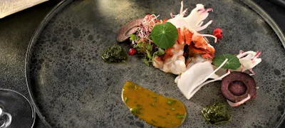 X21d2vajcj17im X21d2vajcj17im