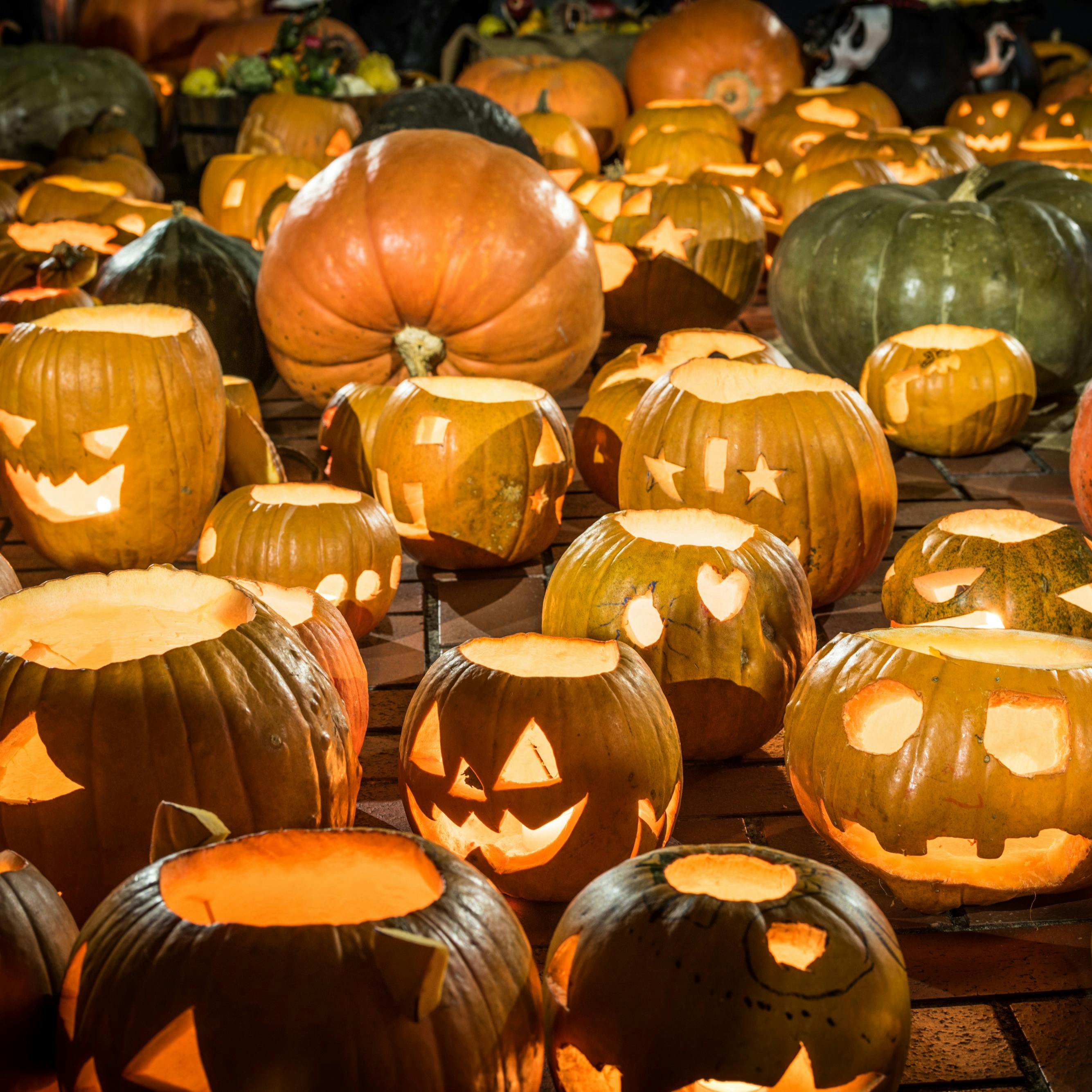 メインダイニング カバーナ アゴーラ福岡山の上ホテル スパ ハロウィンパーティ 仮装グッズ 飲み放題2h カルパッチョや糸島豚ロース等7品 ディナー プラン 10937162 メニュー 一休 Comレストラン