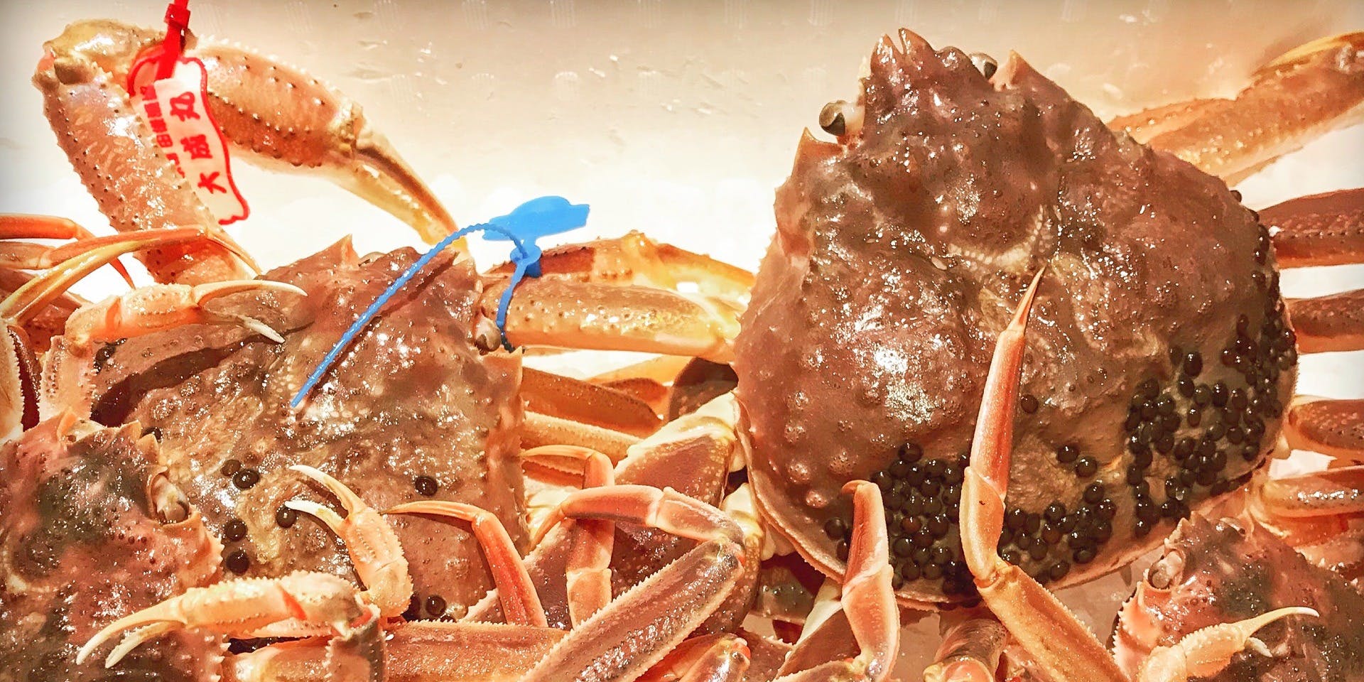 吉星（きちせい）