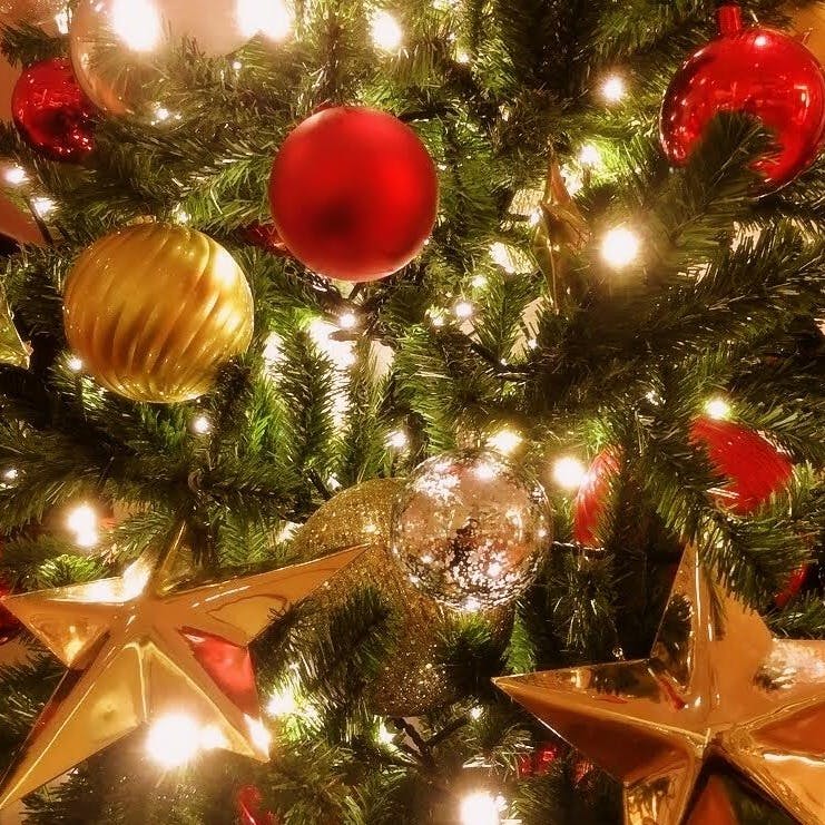 イゾラトラットリア Xmas 素敵なひと時を 豪華スペシャルクリスマスランチ全5品 ランチ プラン メニュー 一休 Comレストラン イゾラトラットリア Xmas 素敵なひと時を 豪華スペシャルクリスマスランチ全5品 ランチ プラン メニュー 一休 Comレストラン