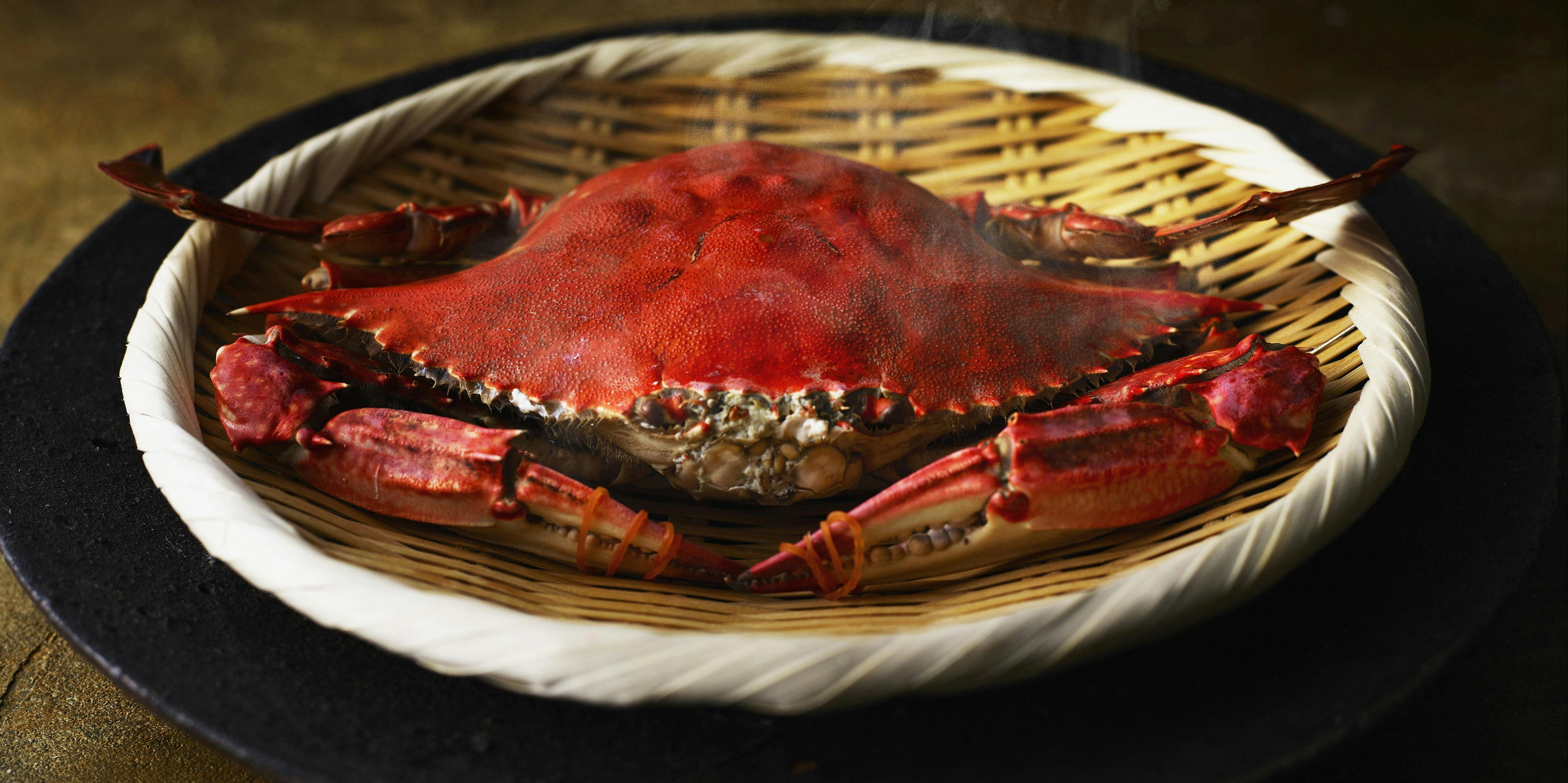 カミノザ（【旧店名】農人橋 カミノザ）