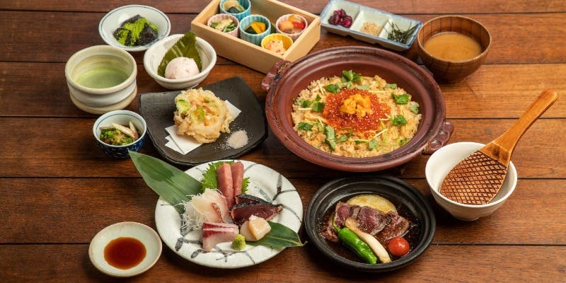 茶茶 このか（チャチャ）