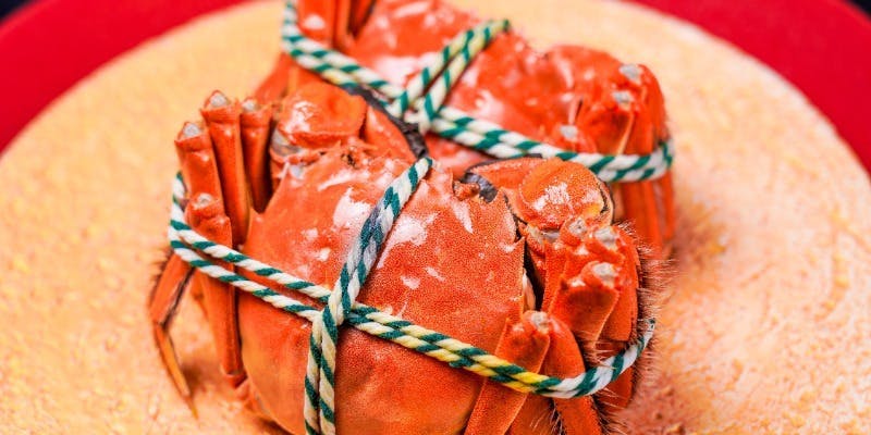 最高産地・陽澄湖産タグ付き 活け上海蟹オス蟹・メス蟹食べ比べコース（フカヒレ姿煮入り）