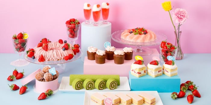 京都 ケーキバイキング ケーキ食べ放題ランチ ティー特集 一休 Comレストラン 京都 ケーキバイキング ケーキ食べ放題ランチ ティー特集 一休 Comレストラン