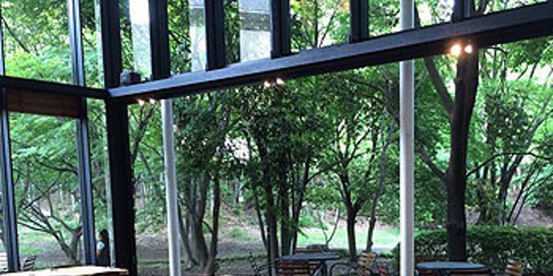 【Xmas2025】Frescoがおくるクリスマスランチコース