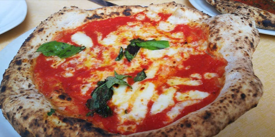 トラットリア ラ タルタルギーナ（TRATTORIA La Tartarughina）