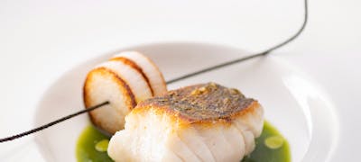 R0h0etr4kvfynm R0h0etr4kvfynm