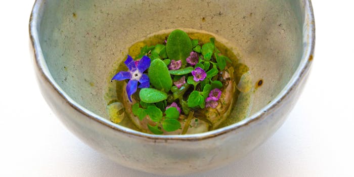 古我邸 邸宅レストラン コガテイ 鎌倉 フランス料理 一休 Comレストラン 古我邸 邸宅レストラン コガテイ 鎌倉 フランス料理 一休 Comレストラン