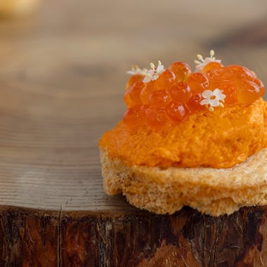 ๅคๆ้ธ ้ธๅฎ
ใฌในใใฉใณ - ใตใ ใใคใซ6