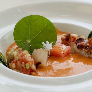 ๅคๆ้ธ ้ธๅฎ
ใฌในใใฉใณ - ใตใ ใใคใซ5