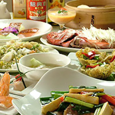 お酒にも合う一品料理や本格コースまで様々なシーンに対応